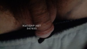 Жиголо Павлодара Парень№547935 Aleksandr Фотография №4116978